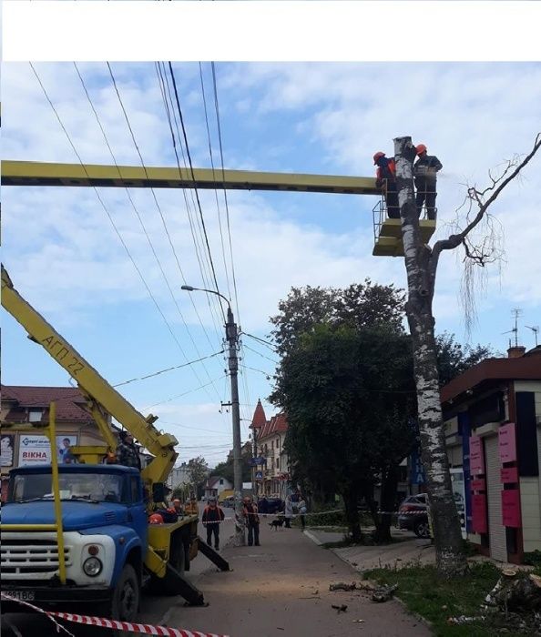 розчистка участка,території,зрізання дерев,обрізка хмельницький та обл