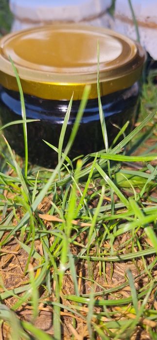 Варення із карпатської чорниці