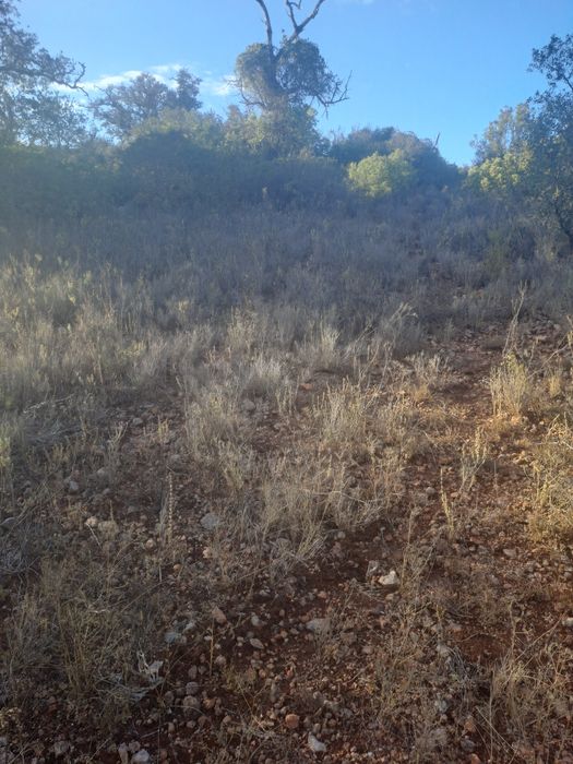 Terreno rustico com bonita vista