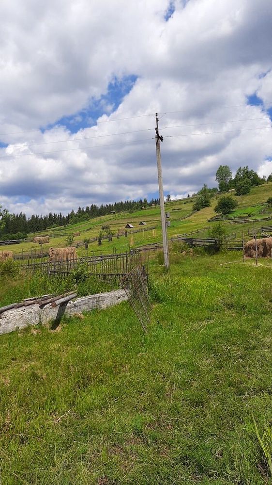 Земельна ділянка під забудову Вишків