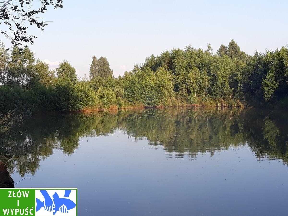 Agroturystyka 6 os domek ze stawem i wędkowaniem