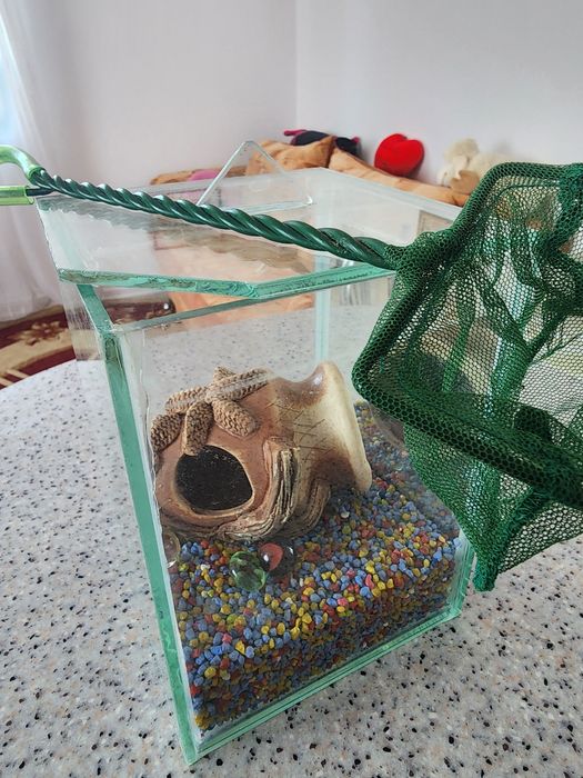 Акваріум міні з декором