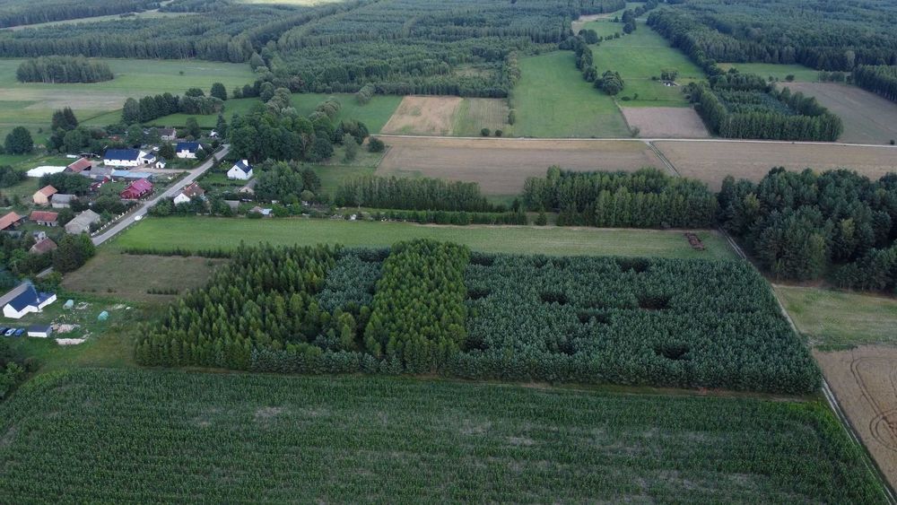Działka leśna z warunkami zabudowy raty