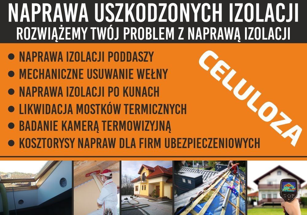 Wdmuchiwanie celulozy Naprawy  izolacji kuny Termowizja piana