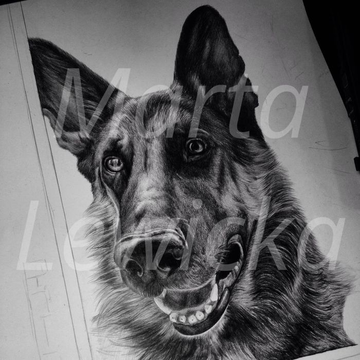 Obrazy i rysunki na zamówienie, farby, ołówek, obraz na ścianie