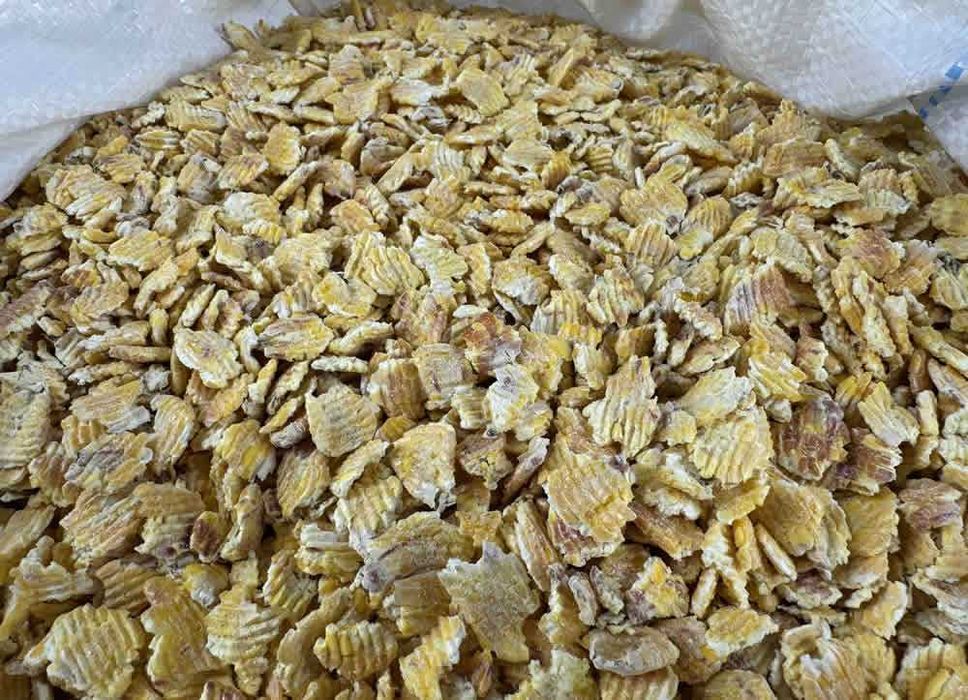 Kukurydza Mikronizowana Płatki 10 KG Musli dla Koni bez Glifosatu