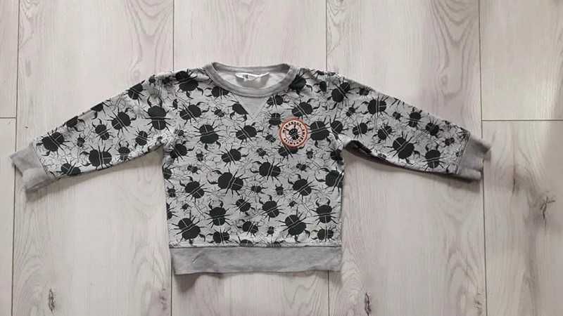 zestaw bawełniane bluzy dla chłopca marki H&M roz. 98/104 chrząszcze