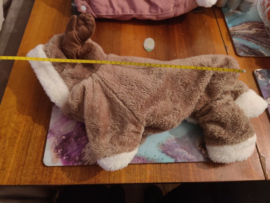 Ubranko dla małego psa