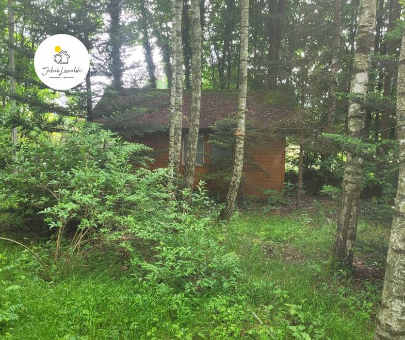 Wyjątkowa działka z domkiem i stawem – Ryczołek