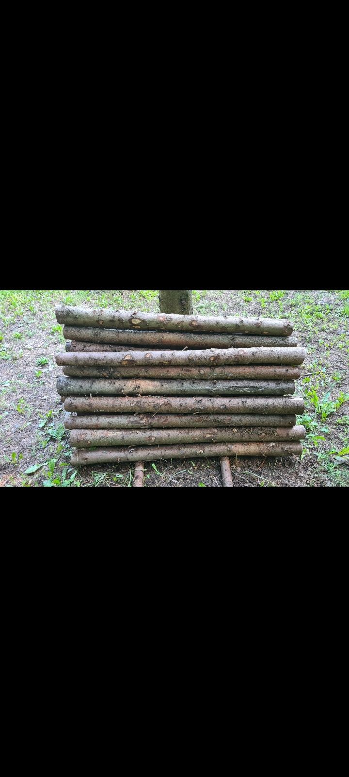 Kołki świerkowe ogrodzenie pastuch 1,5m dłogości