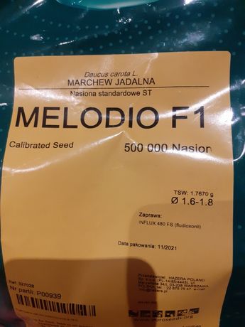 Nasiona marchew Melodio F1 500 tys nasion