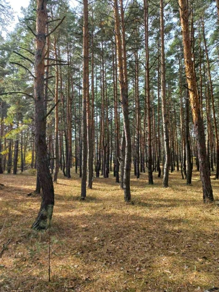 Земельна ділянка Обухівка