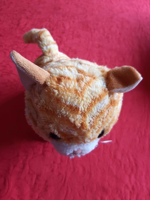 Gato Garfield Interativo