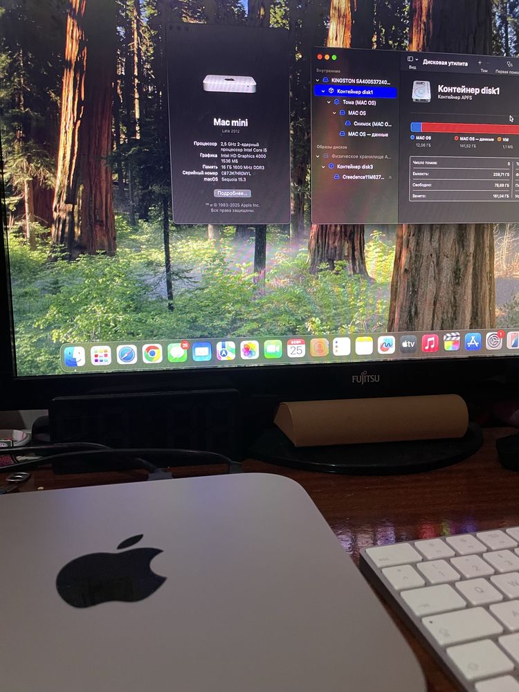 Mac mini 2012 8/256
