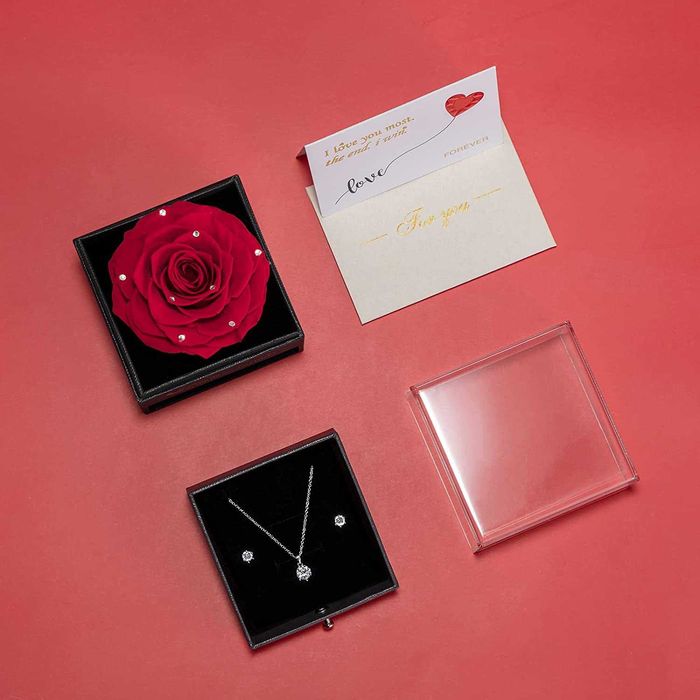 Rosa preservada com corrente de prata