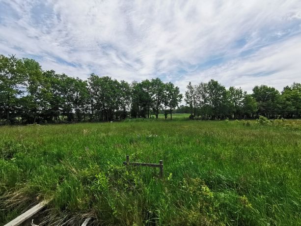 Działka 0,45ha z warunkami zabudowy i projektem na dom jednorodzinny