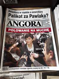 Czasopismo Tygodnik Angora rocznik 2012 33 sztuki