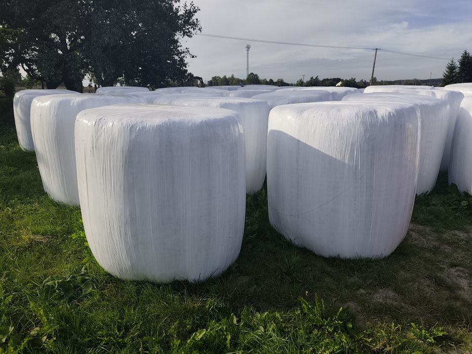 Sprzedam Sianokiszonkę z lucerny bele 120