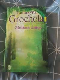 Zielone drzwi Katarzyna Grochola