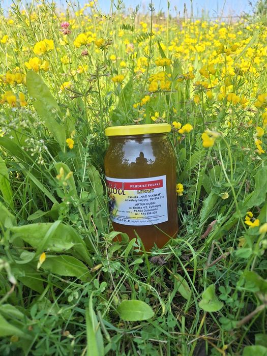 Miód spadziowy lisciasty