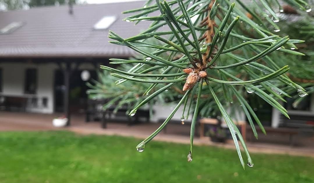 Agroturystyka Mrówki, Dom z Pokojami, Możliwość wynajmu całego domu!