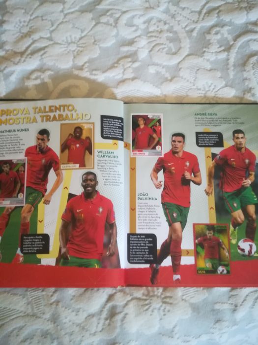 Panini Fome de vender caderneta completa