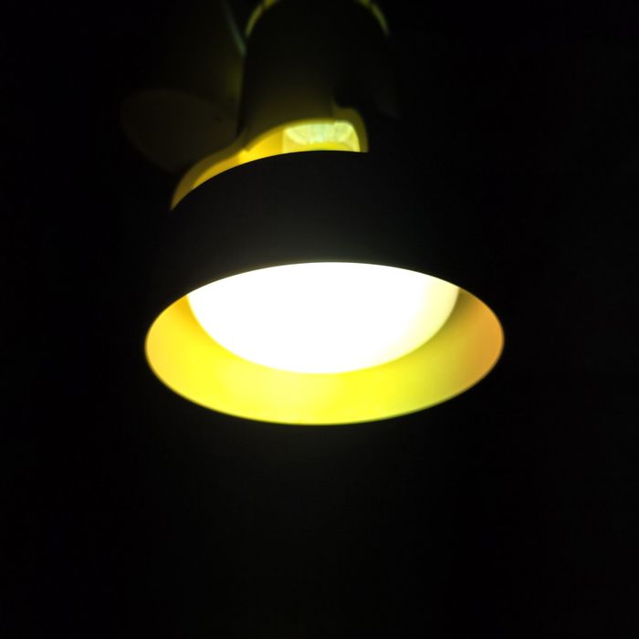 Osram Floraset HQL 80w