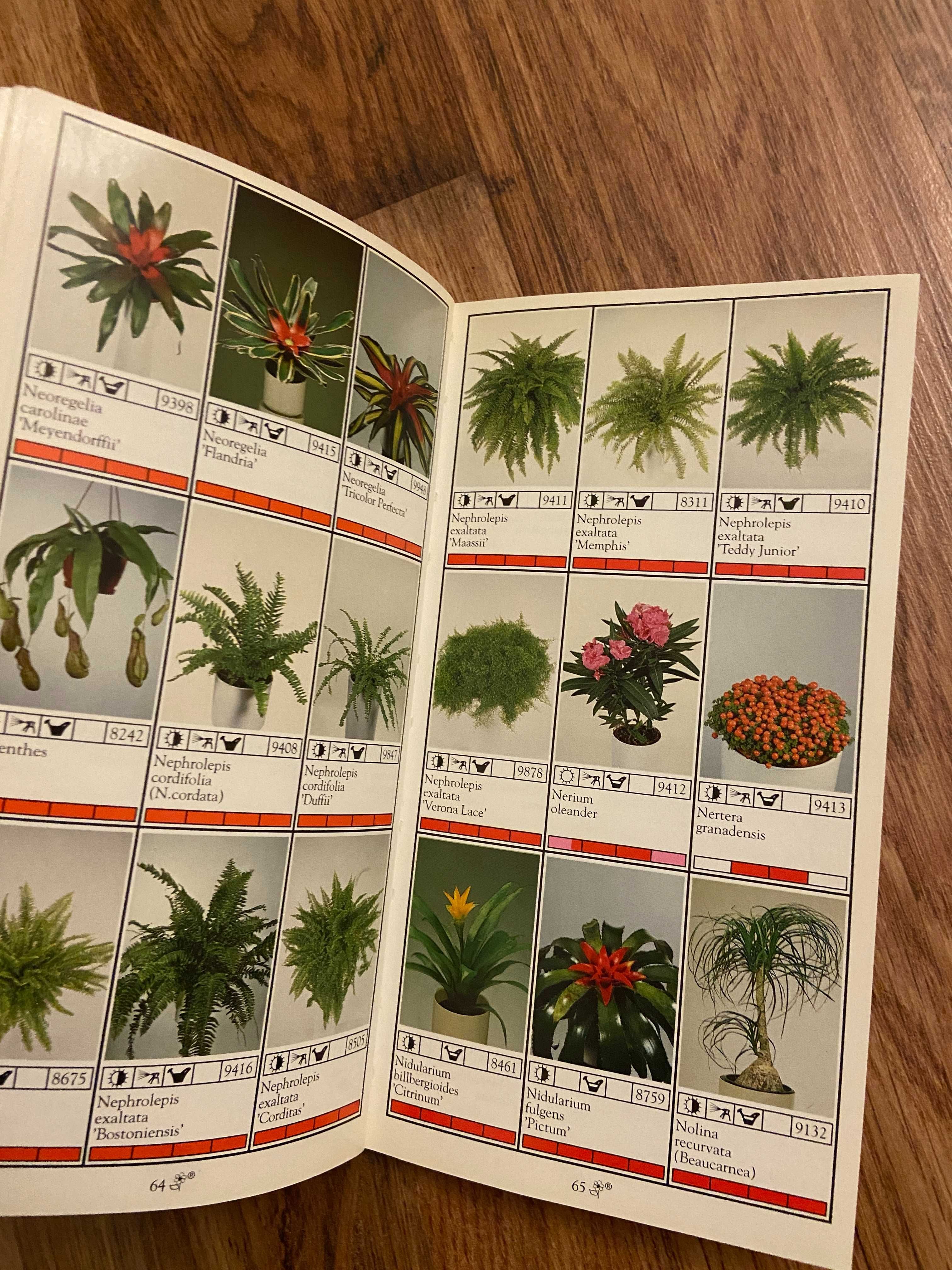 Katalog kwiatów doniczkowych Nazwy Łacińskie Bloemen Bureau