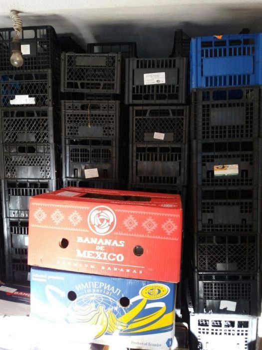 Ящики 200шт.,бананові ящики