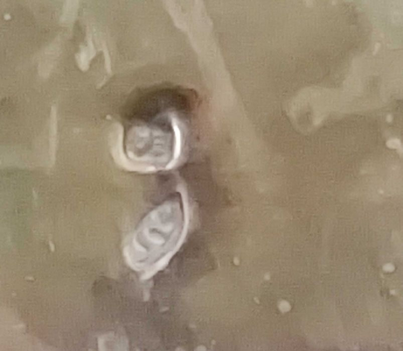 2 argolas para guardanapo em prata