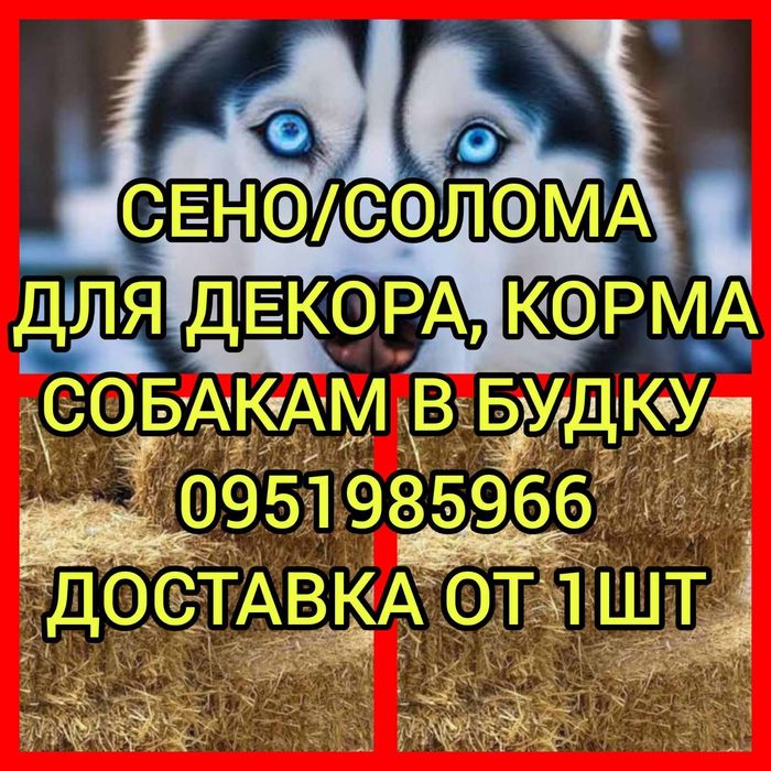 СІНО СОБАКАМ в будку З ДОСТАВКОЙ ОТ 1шт в тюках, сено ячка и др виды