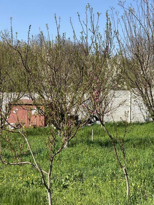Продам ділянку Тополя, 12 Квартал, 20 сотих\21000$