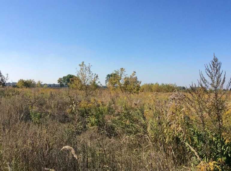 Продаж ділянки біля кооперативу Розвиток