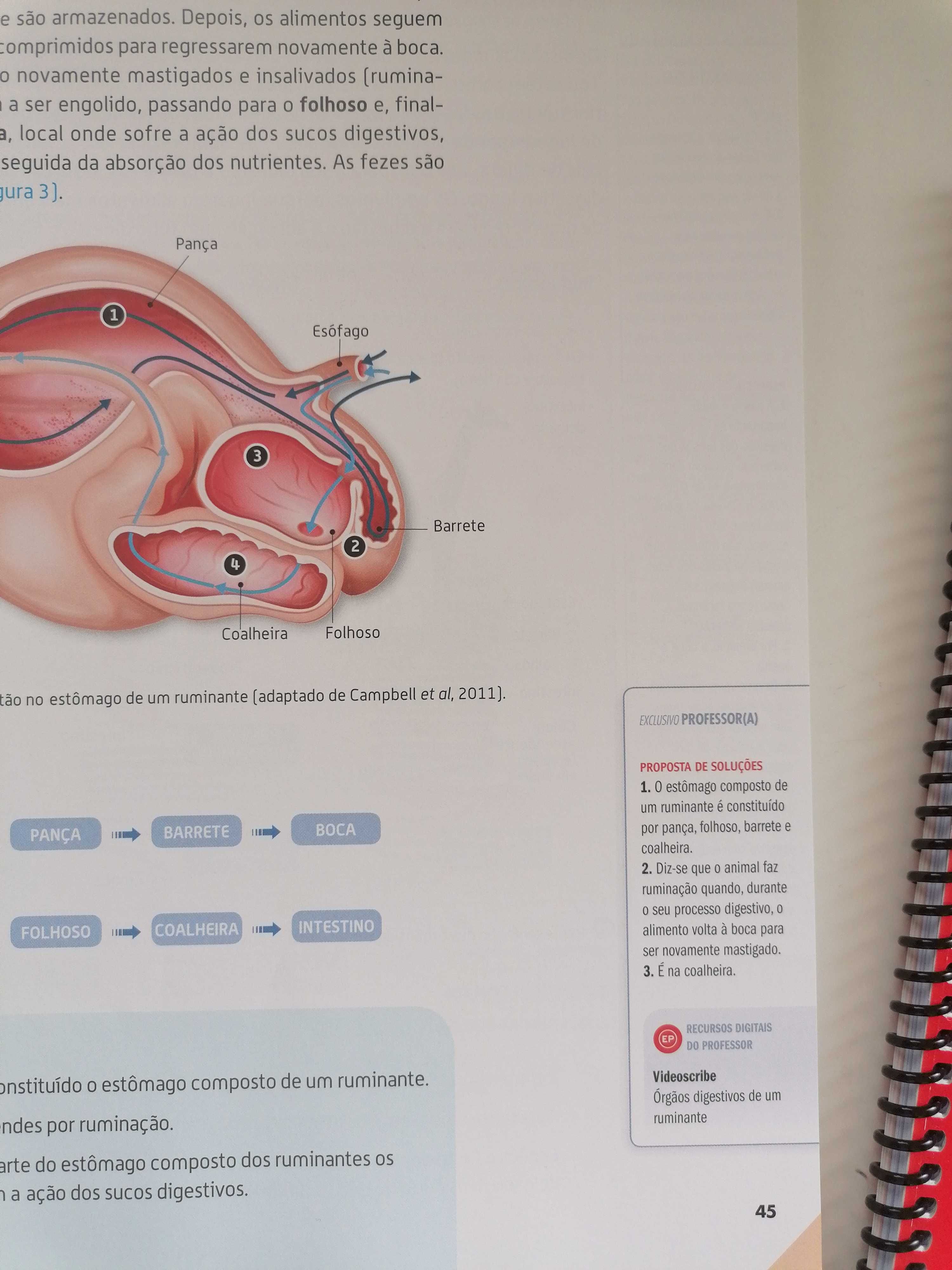 Manual Ciências 6+Caderno Atividades novos