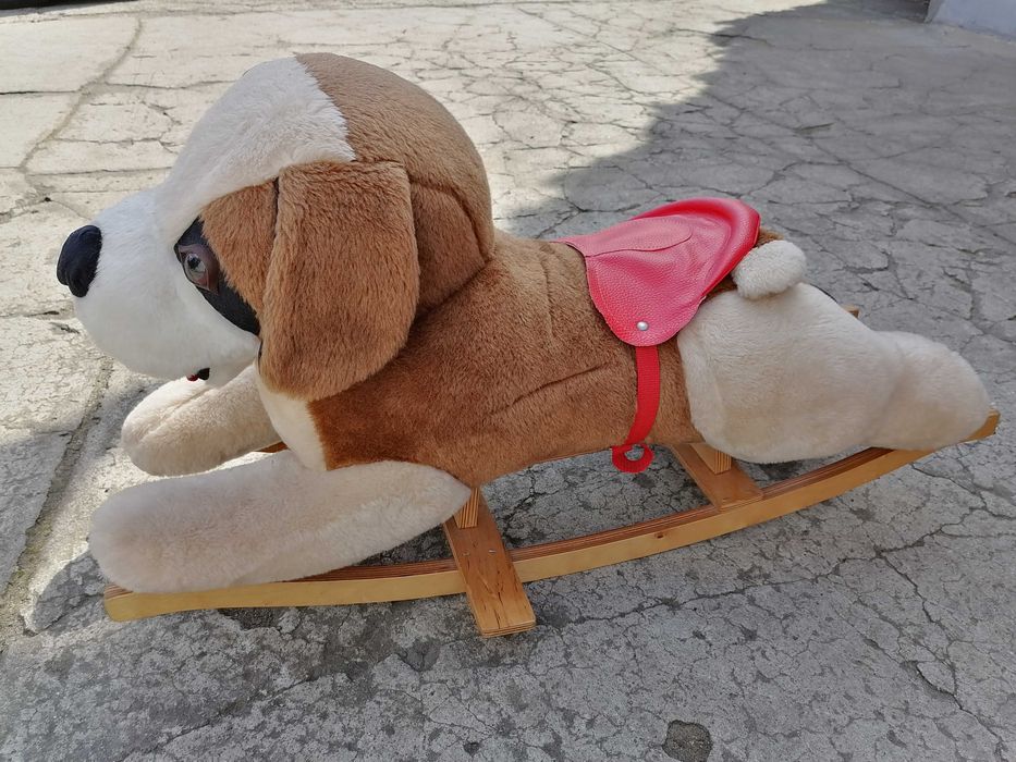 Pies na biegunach- bujak