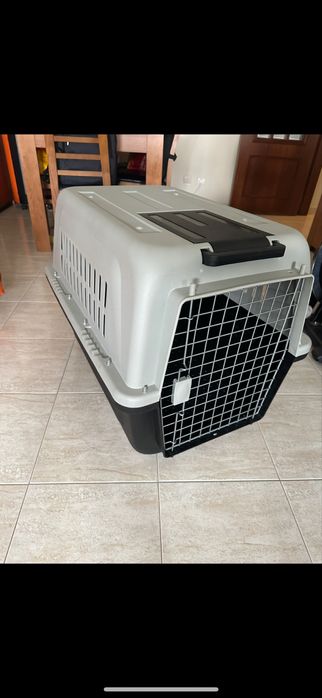 Transportadora Cães / Conforme norma IATA