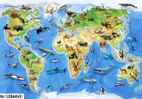 Tapeta, fototapeta Mapa świata, Mapa dla dzieci. 312x219 cm