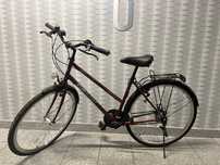 Rower Grand 21 cala