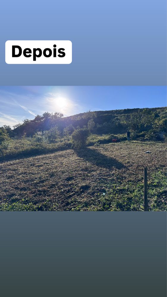 Limpeza terrenos