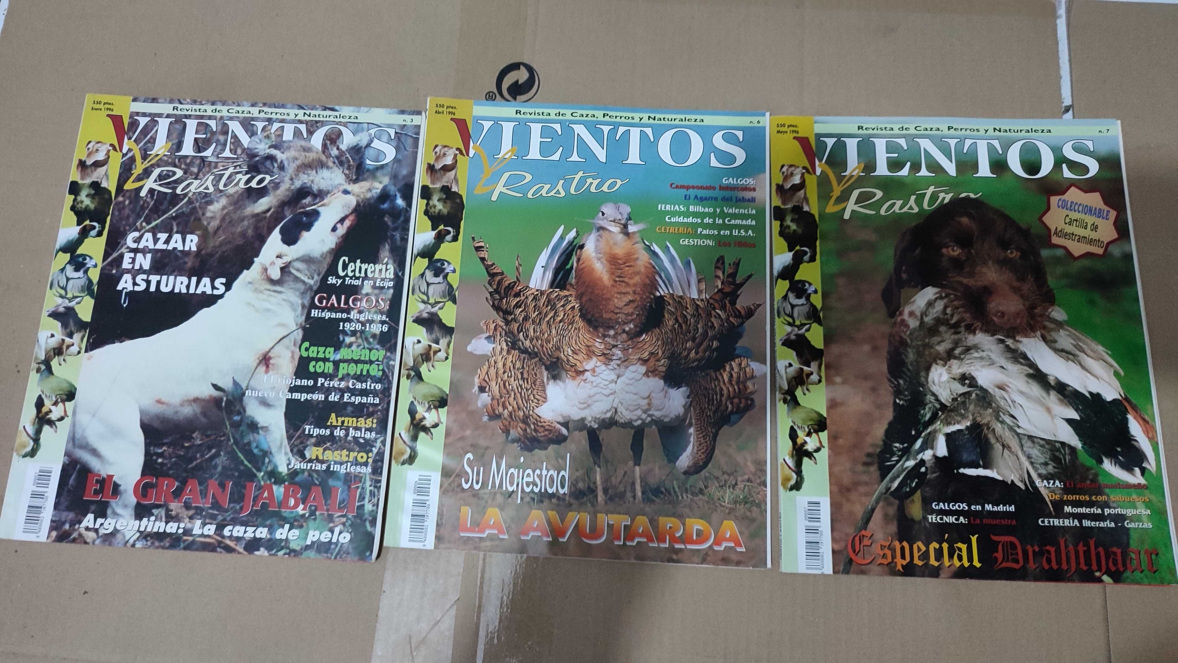 Lote 23 Revistas de Caça Vientos y Rastro