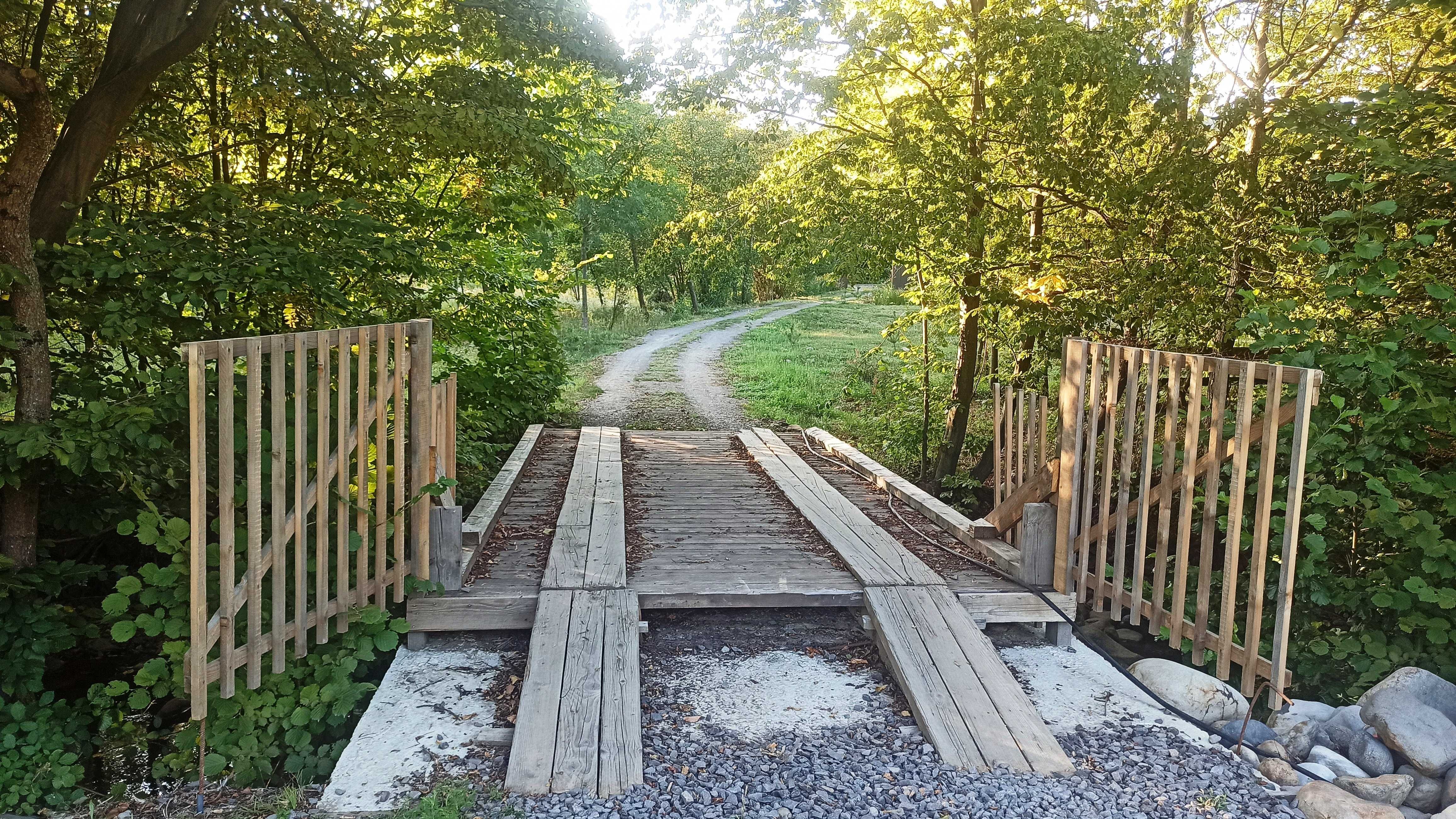 Продам ділянку для зони відпочинку, межує з лісом.