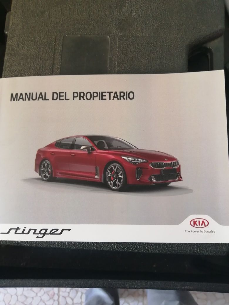 Manual Kia Stinger em Espanhol