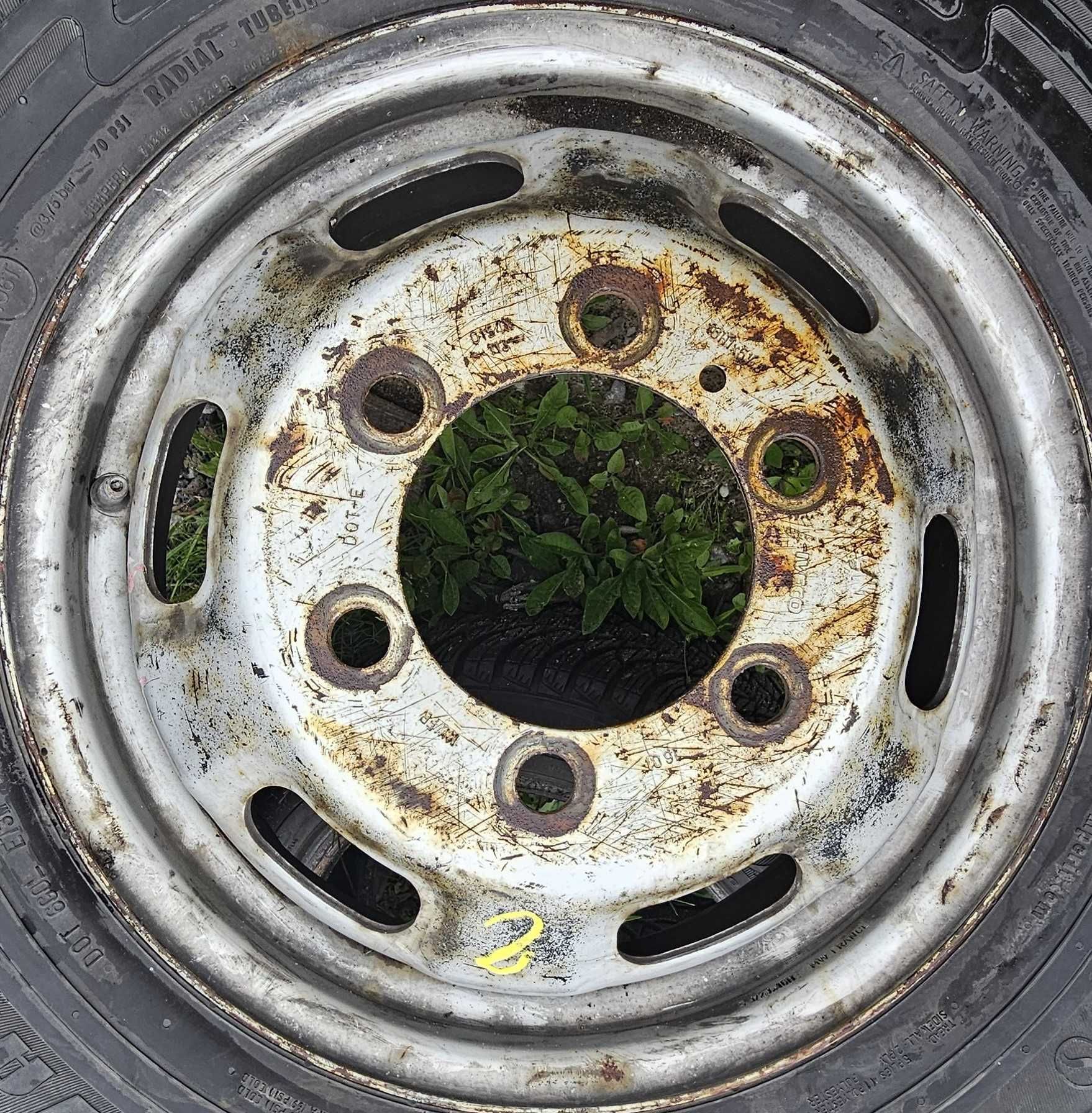 Koło kompletne 215/65R16C Semperit IVECO 16H1x5.1/2J  *S