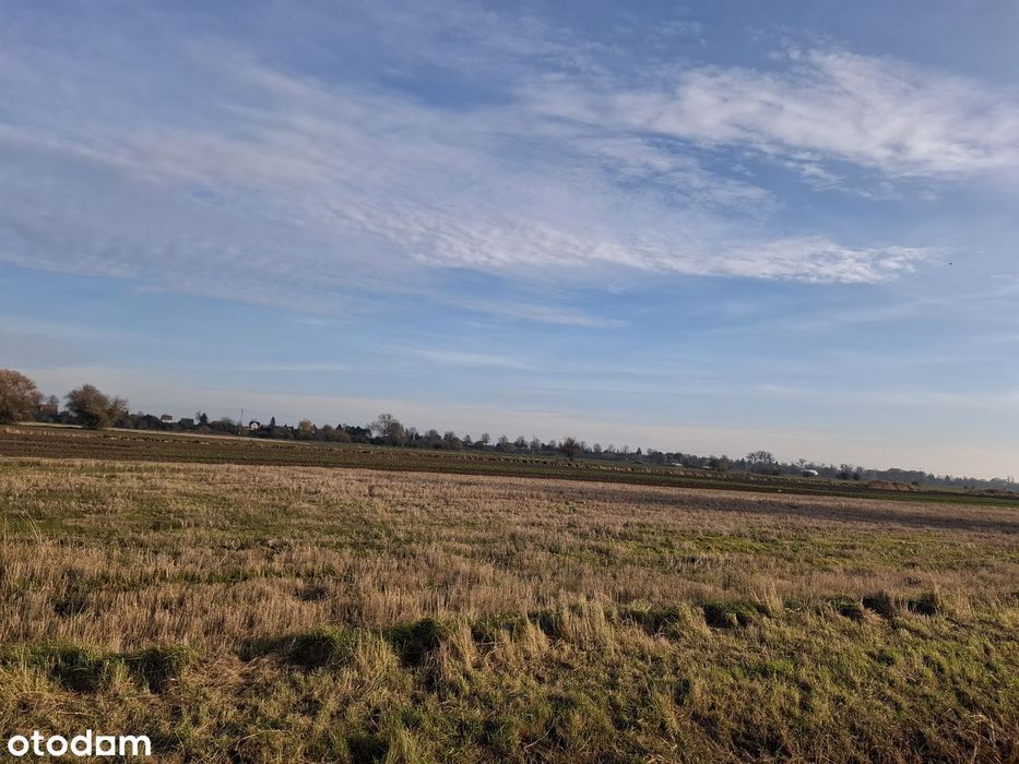 Działki nad morzem budowlano-rolne  Wyspa SobieszewskaGdańsk pomorskie