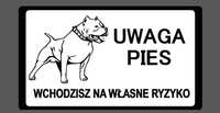 Tabliczka uwaga pies