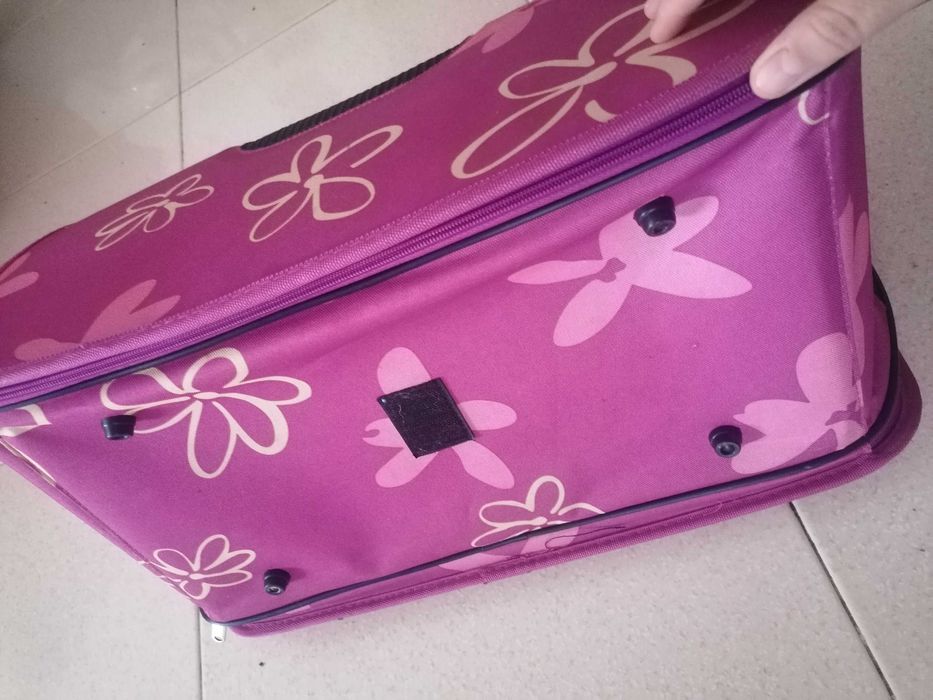 Transportadora de gatos e cães