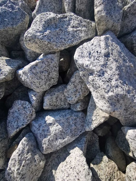 Kamień Gabionowy Granitowy Dalmatyńczyk