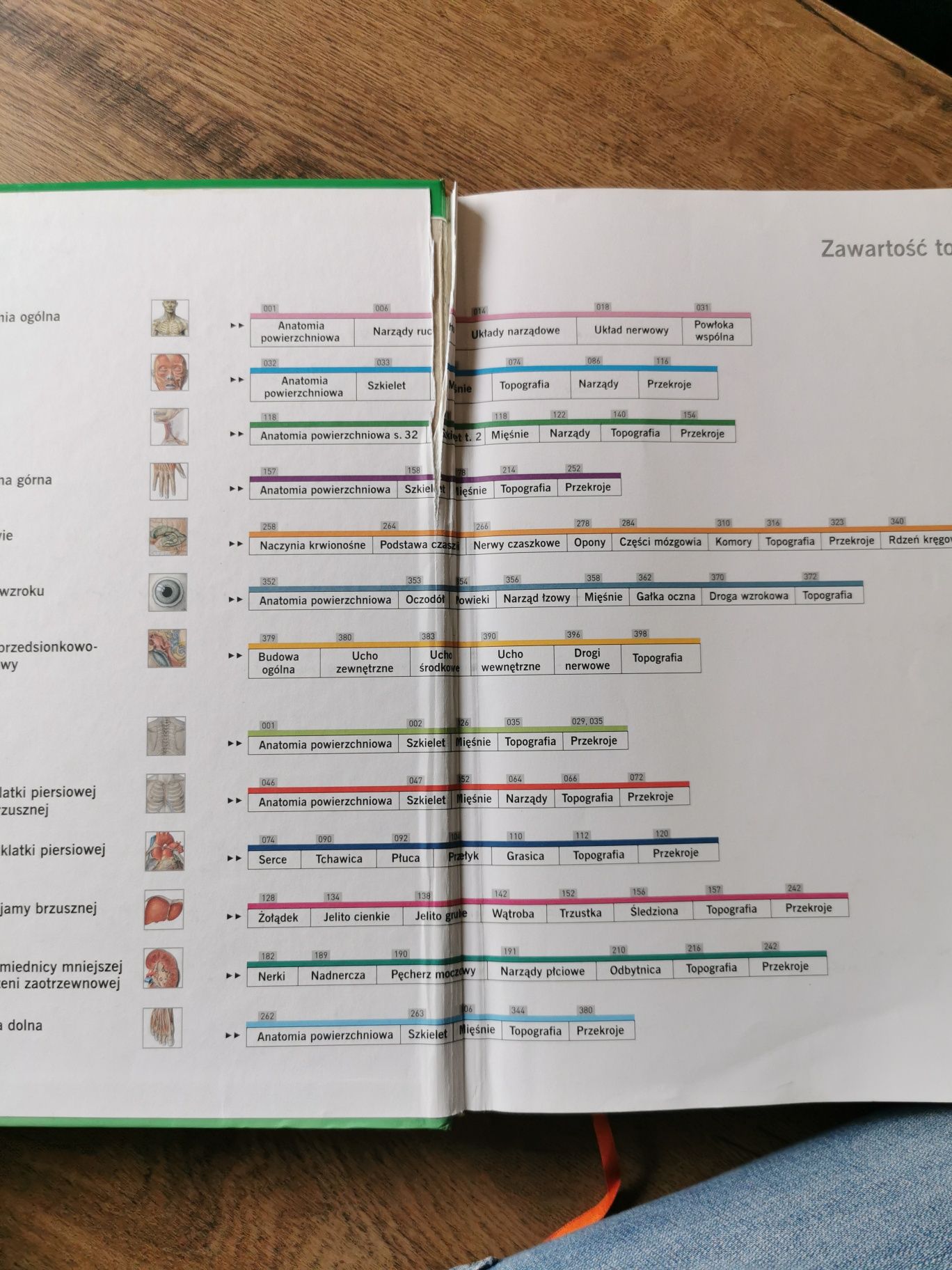 Sobotta Atlas anatomii człowieka tom II wyd 22,III polskie