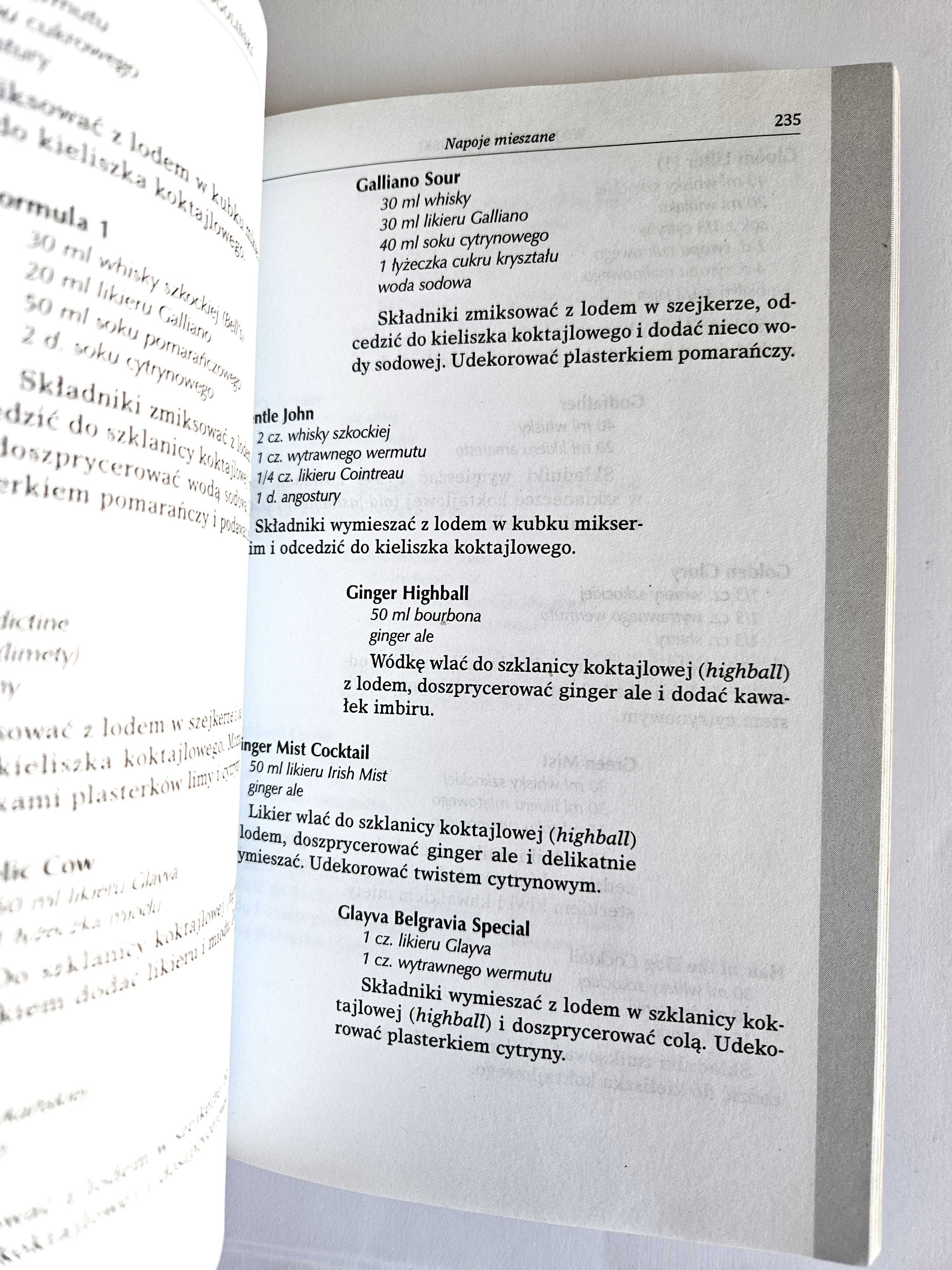 LEKSYKON ALKOHOLI - Wojciech Gogoliński