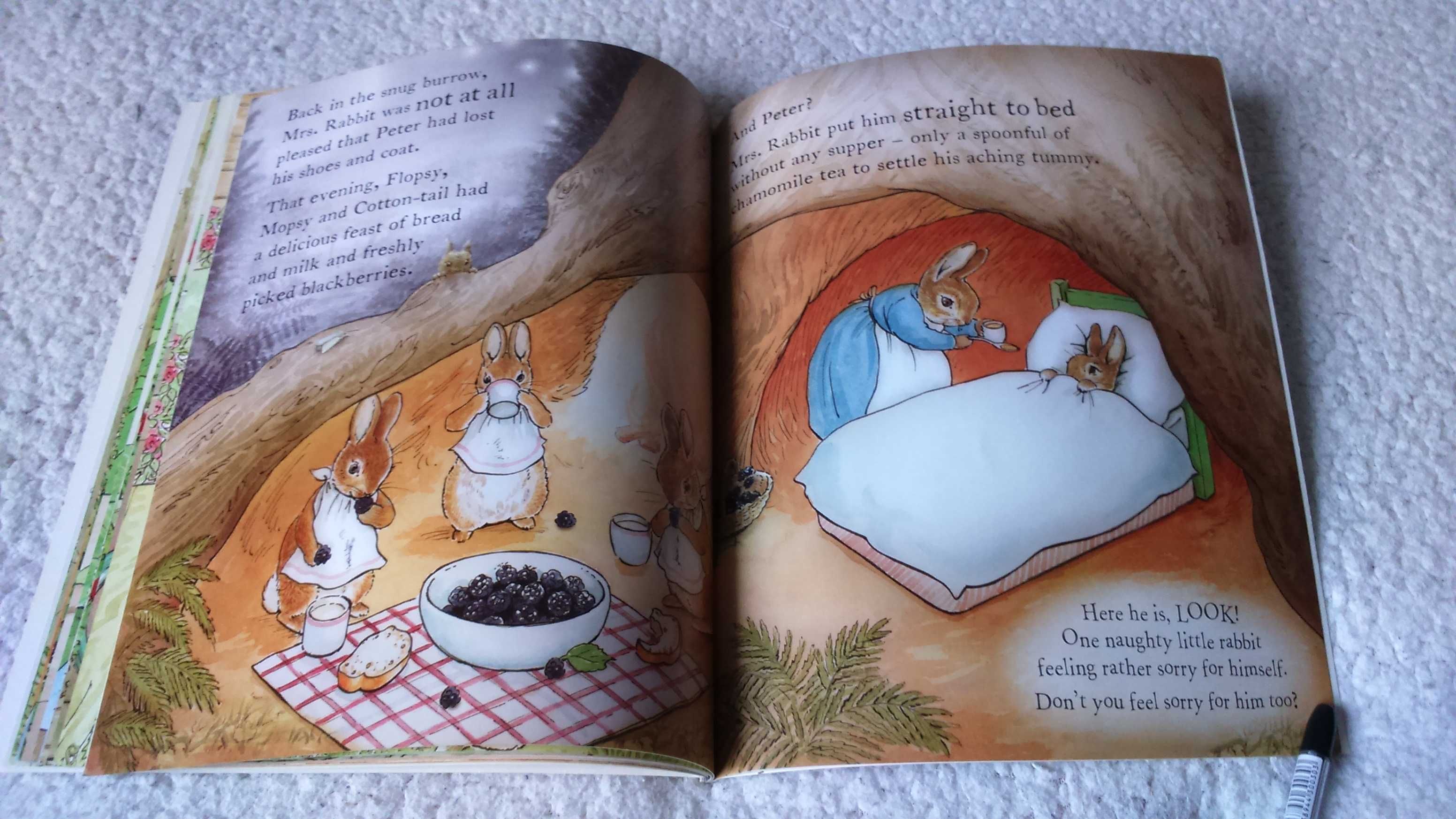 Дитяча книга англійською The Tale of a Naughty Little Rabbit    Potter